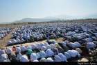 Sunni Muslims in Golistan Mark Eid al-Adha (Photo)  <img src="/images/picture_icon.png" width="13" height="13" border="0" align="top">