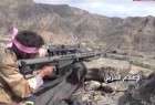 Five Saudi forces slain in border areas with Yemen