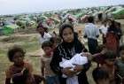 Muslim nations slam Rohingya Muslims plight