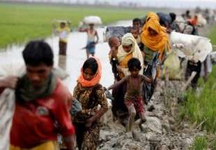 Dhaka says Myanmar plants landmines on Bangladesh border
