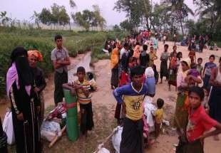 اية الله فاضل كلبايكاني: على المسلمين الانتفاض ضد حرب الابادة في ميانمار