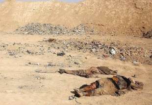 80 insurgés de Daech tués dans les opérations des forces irakiennes