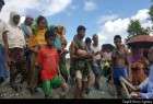 ‘ethnic cleansing’ against Myanmar Muslims  <img src="/images/picture_icon.png" width="13" height="13" border="0" align="top">