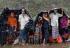 Rohingya Muslims flee Myanmar violence 1 (photo)  <img src="/images/picture_icon.png" width="13" height="13" border="0" align="top">