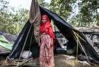 Rohingya Muslim refugees in Coxs Bazar, Bangladesh border 2 (photo)  <img src="/images/picture_icon.png" width="13" height="13" border="0" align="top">
