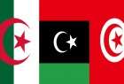 تونس والجزائر ترفضان تعدد المبادرات حول ليبيا