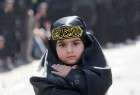 Children in Ashura (Photo)  <img src="/images/picture_icon.png" width="13" height="13" border="0" align="top">