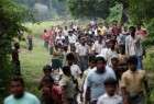 آمادگی میانمار برای بازگشت آوارگان روهینگیا