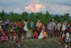 Rohingya Muslims’ perilous exodus to Bangladesh 2 (photo)  <img src="/images/picture_icon.png" width="13" height="13" border="0" align="top">