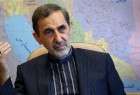 ‘Iran to aptly respond to moves against its interests’
