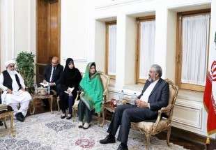 Iran, Pakistan to team up for removal of banking obstacles