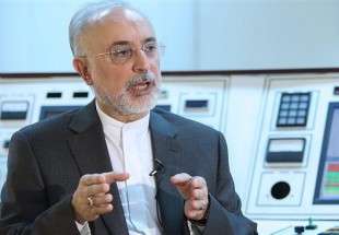 Iran is committed to inspections only under JCPOA: Salehi