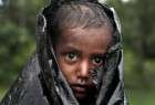 Rohingya faces 2 (photo)  <img src="/images/picture_icon.png" width="13" height="13" border="0" align="top">
