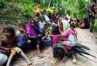 کشتار مسلمانان میانمار در نشست بین المجالس محکوم شد