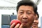 بأوامر من الرئيس الصيني: لا فاكهة ولا جمبري ولا حلاقة مجانية!