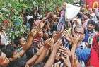Guardian: WFP suspended Rohingya probe under Myanmar pressure