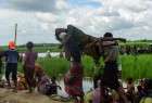 Birmanie: 582.000 réfugiés rohingyas au Bangladesh depuis fin août