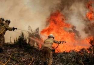 ارتفاع حصيلة الحرائق في البرتغال وإسبانيا الى 45 قتيلا