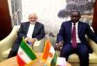 ظریف با همتای نیجری خود دیدار کرد/گشایش مجمع تجاری ایران و نیجر