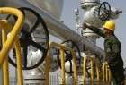 Iran, Russia eye over 10 oil, gas fields for coop.