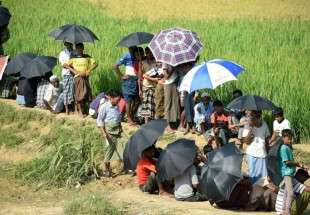 Le gouvernement de la Birmanie récolte les champs des Rohingyas réfugiés au Bangladesh
