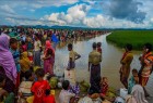 35 نهاد بین‌المللی خواستار رسیدگی سازمان ملل به بحران مسلمانان میانمار شدند