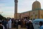 ​تغییر نام مسجد «الروضه» مصر به «روضة الشهداء»