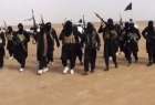 ​6 هزار تروريست داعشی در راه بازگشت به آفریقا