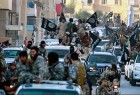 مصادر سورية: طائرات أمريكية نقلت قادة بارزين فى داعش من الرقة
