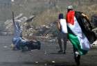 شهادت 9 فلسطینی و زخمی شدن هزاران نفر دیگر در دو هفته نخست انتفاضه قدس/توقف کمک مالی دانمارک به سازمان های غیردولتی فلسطین