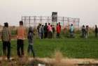 ​گروههای فلسطینی درصدد برگزاری تظاهرات های صدها هزار نفری در مرز غزه