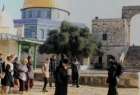 ​هشدار اوقاف فلسطین نسبت به برگزاری عید یهودیان در مسجدالاقصی