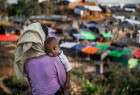 سازمان ملل خواستار تسریع روند ارائه کمک ها به مسلمانان روهینگیا شد