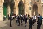 تعرض 16 هزار شهرک نشین صهیونیست به مسجد الاقصی از آغاز سال جاری/ابراز نگرانی یک مقام بین المللی نسبت به وضعیت حقوق بشر در فلسطین