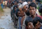 11 هزار روهینگیایی به بنگلادش فرار کردند