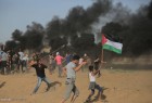شهادت 6 فلسطینی و زخمی شدن صدها نفر دیگر طی دو هفته