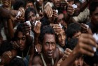 درخواست برای ارجاع فوری پرونده جنایات میانمار به دادگاه بین‌المللی