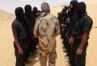 جلاد داعش در سینای مصر بازداشت شد
