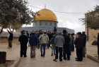 ​ورود 80 شهرک نشین صهیونیست به مسجد الاقصی/بازداشت 11 فلسطینی در کرانه باختری