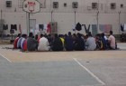 شکنجه زندانیان بحرینی به دلیل برپایی عزاداری حسینی