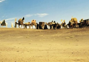 ​چرا سیدالشهدا زنان و کودکان را همراه خود به کربلا بردند؟