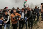 شهادت 197 فلسطینی از آغاز تظاهرات بازگشت
