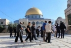 ​یورش 81 شهرک نشین صهیونیست به مسجد الاقصی