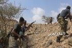 عملیاتهای موفق ارتش یمن در جبهه‌های «ساحل غربی»، «تعز» و «الجوف»