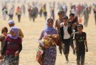 سه هزار کودک ایزدی همچنان در چنگ داعش هستند