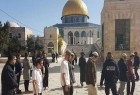 ​یورش  85 شهرک نشین و 103 افسر ارتش اسرائیل به مسجد الاقصی