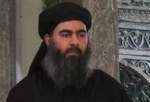 ​نائب عراقي: أبو بكر البغدادي موجود في الصحراء الغربية ويخضع لحماية امريكية