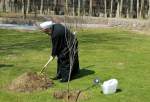 الرئيس الايراني يشارك في يوم التشجير بغرس شجرة في حديقة مجمع سعد اباد