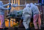 Record coronavirus death toll in Europe, 900,000 global infection cases