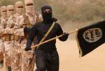 پیشمرگه درباره فعالیت مجدد داعش در عراق هشدار داد